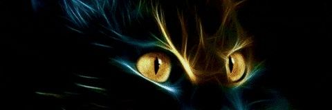 fjhc_dark666's profile banner image