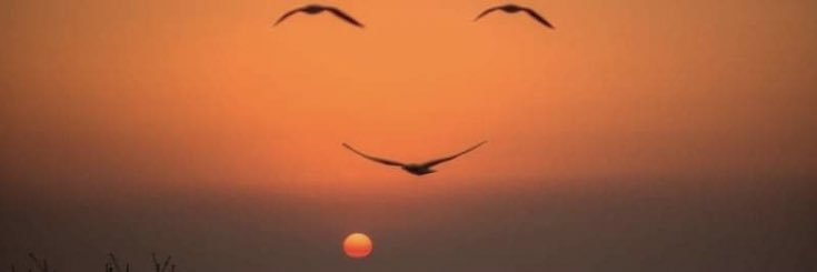 RaulJValecillos's profile banner image