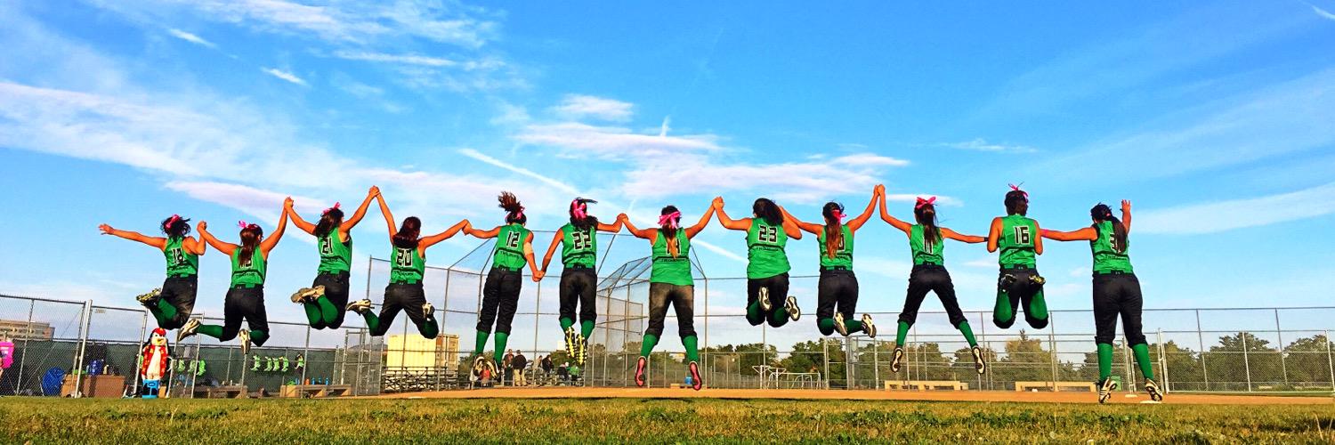 ACHSSoftball's profile banner image