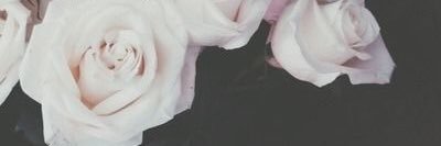 AshleyHPierce's profile banner image