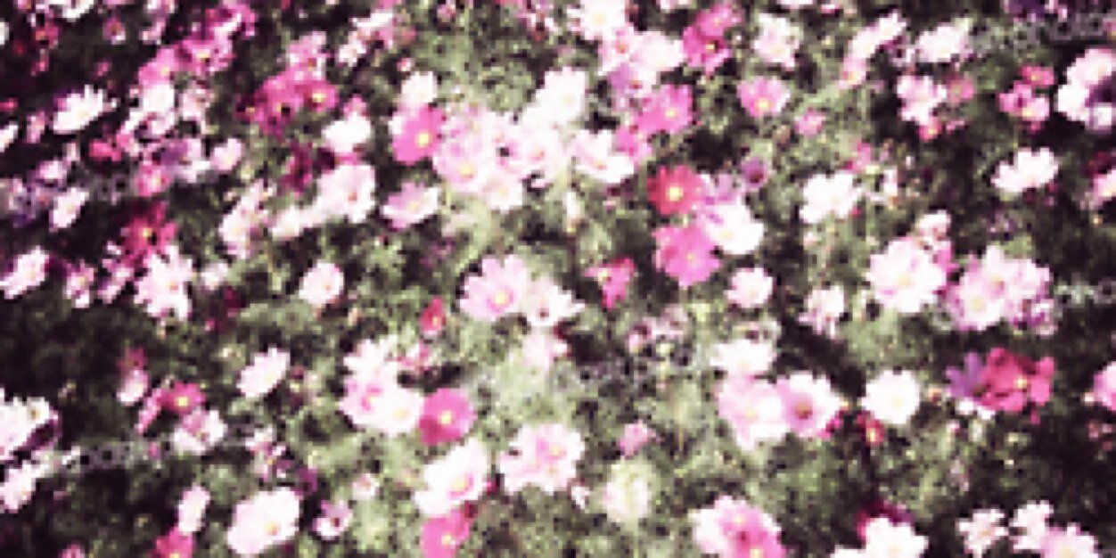 happydcys's profile banner image