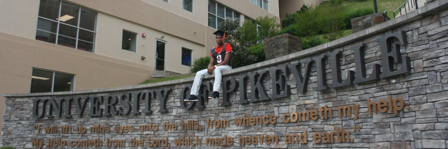 lilirv2x's profile banner image