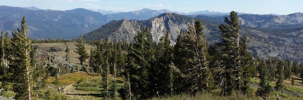 Stay-at-home Dog Dad banner