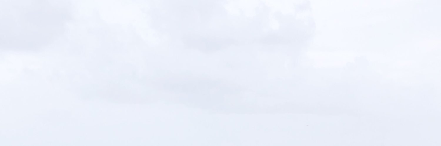 MahoganyRenee_'s profile banner image