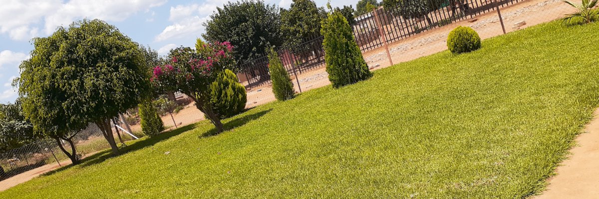 Lady_Marrtin's profile banner image