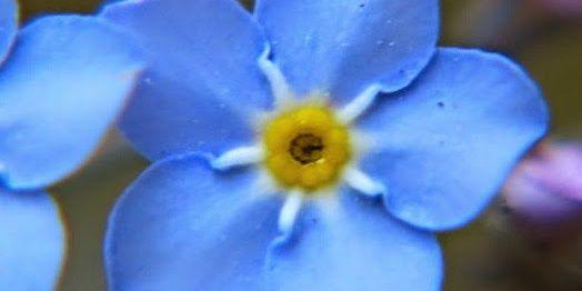 Branko Lobnikar banner