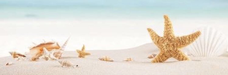 Jennie_fire's profile banner image