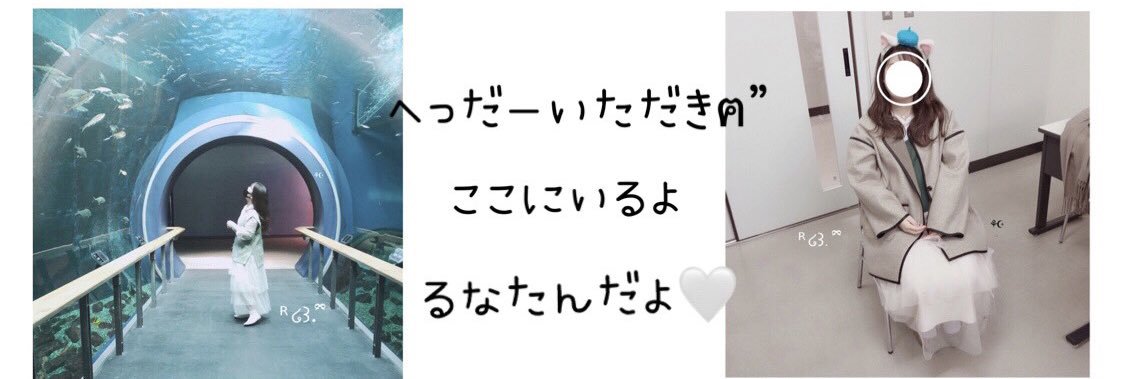 torachibichan's profile banner image