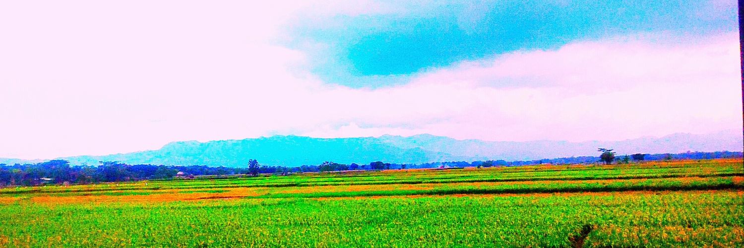 pasyaaulia's profile banner image