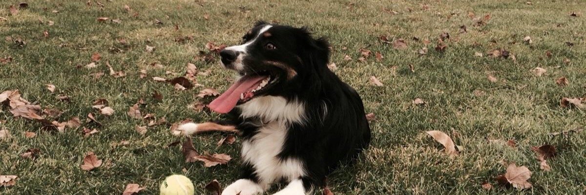 patrickmccarth's profile banner image