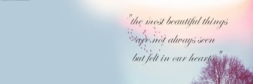ElizabethSharp_'s profile banner image