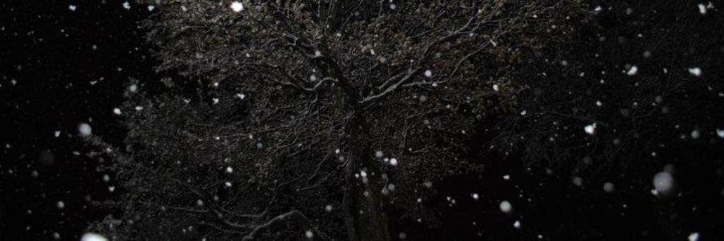 1nvaderTAK's profile banner image