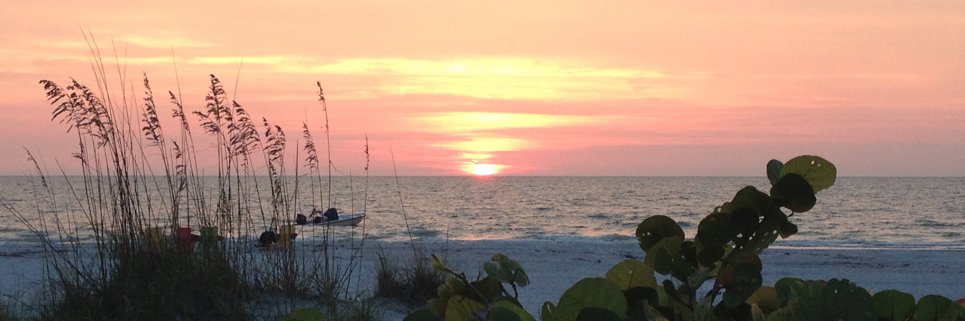 AmyGruetz's profile banner image