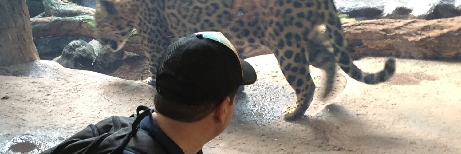 pedropellin's profile banner image