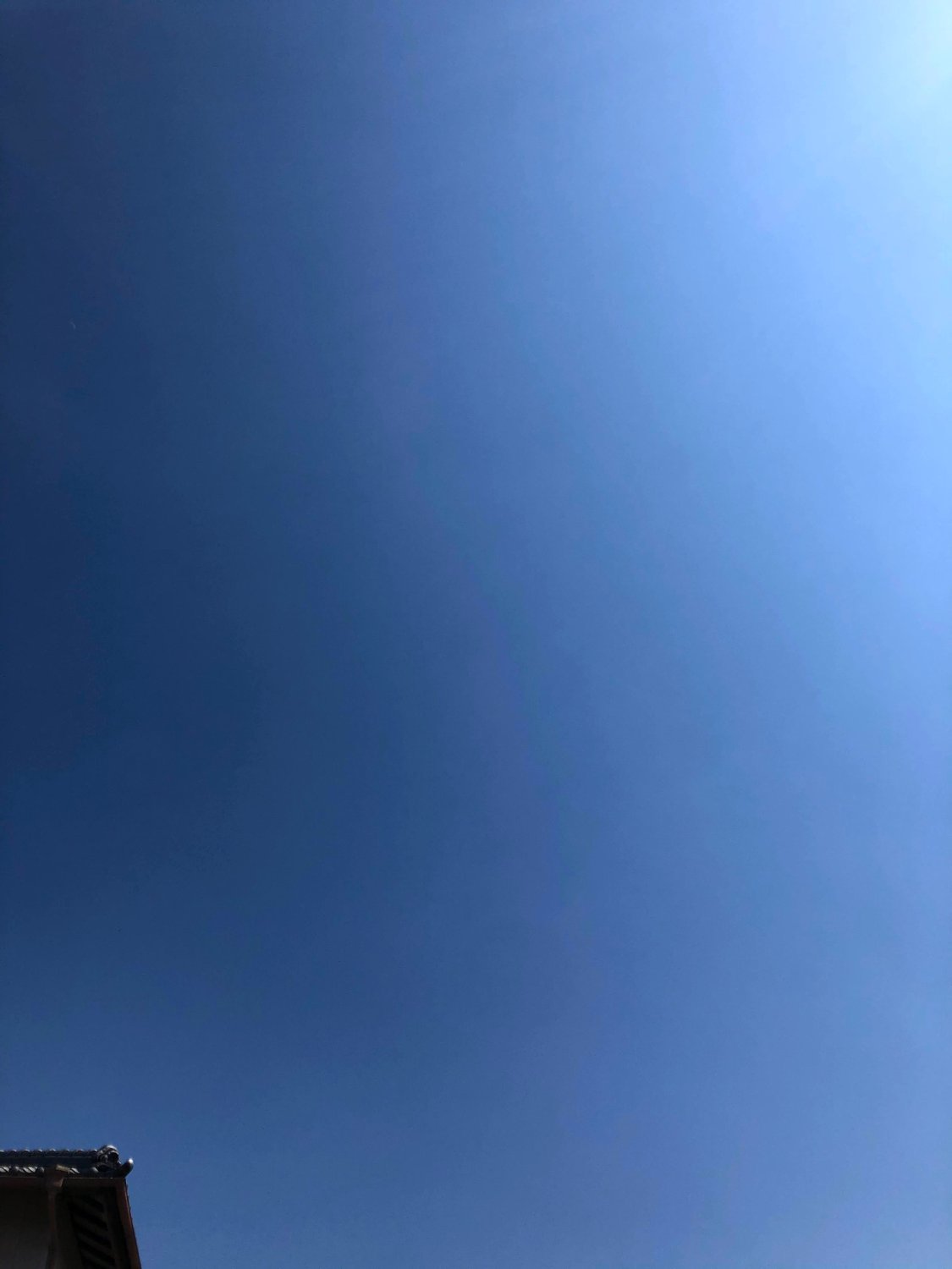 hosishoko's profile banner image