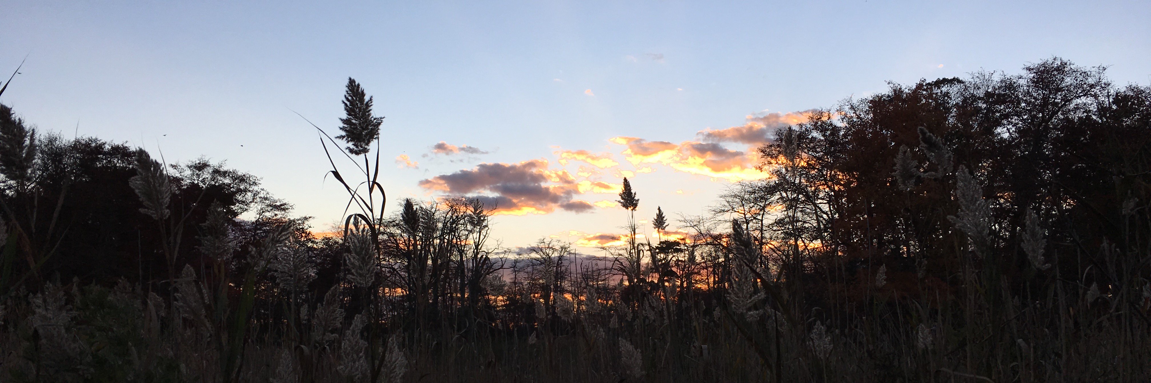 LizMirarchi's profile banner image