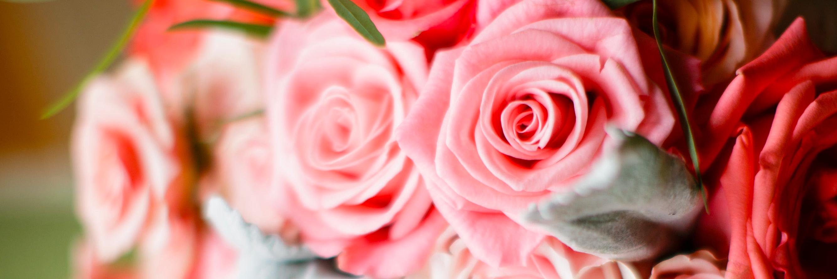 Emily Shex banner