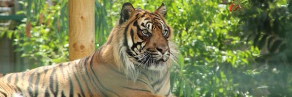 _Natalie_D Profile Banner