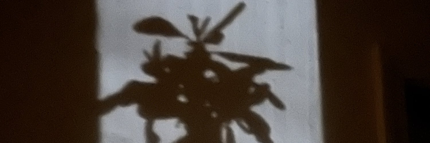 CRiXofEarth's profile banner image