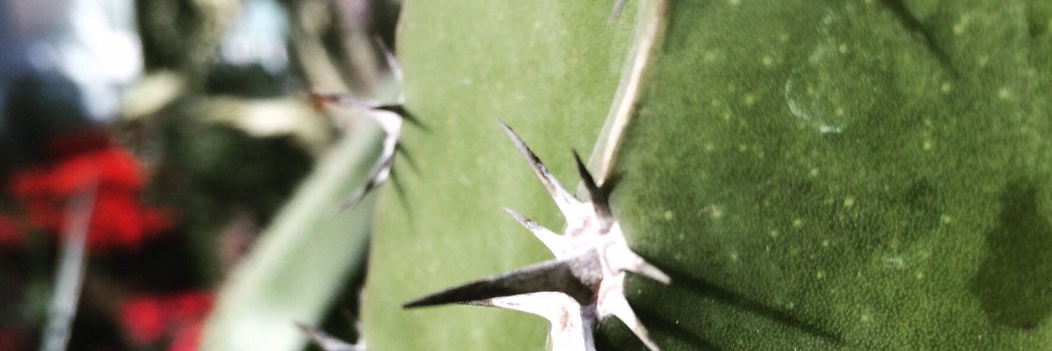 andypants45's profile banner image