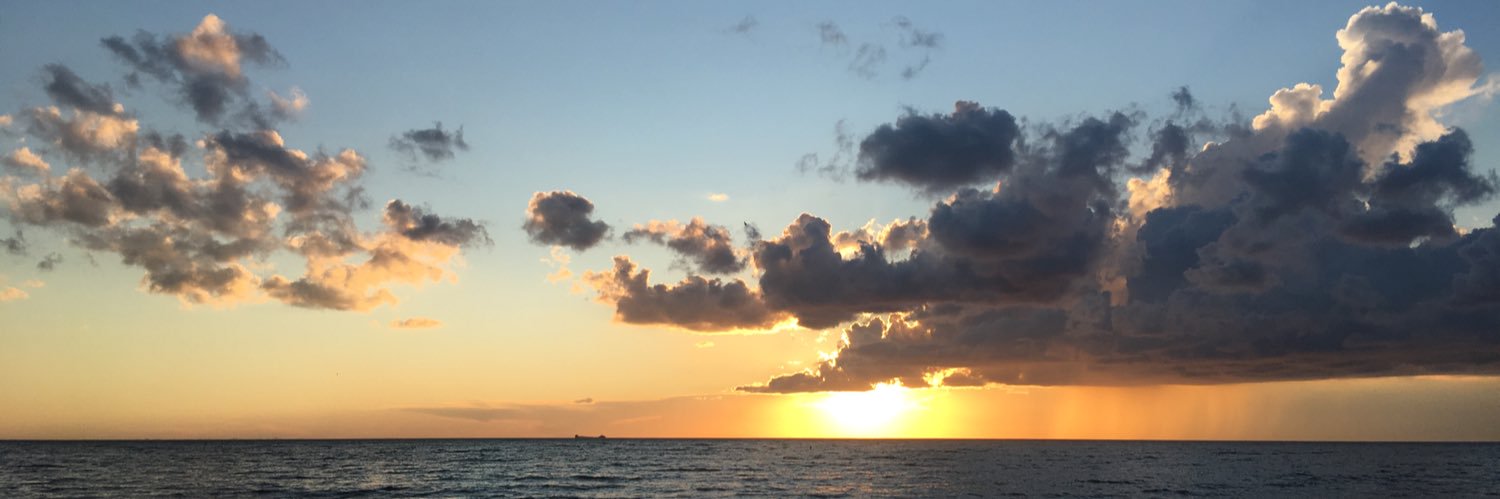 kaitlynfmurrell's profile banner image