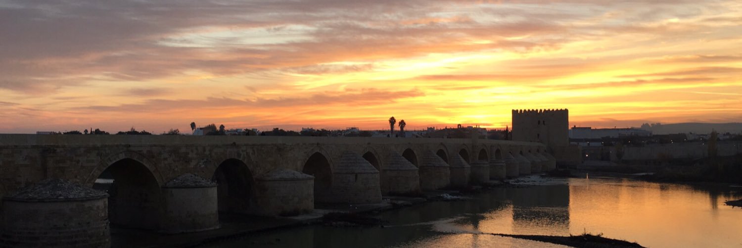 ottotorres's profile banner image