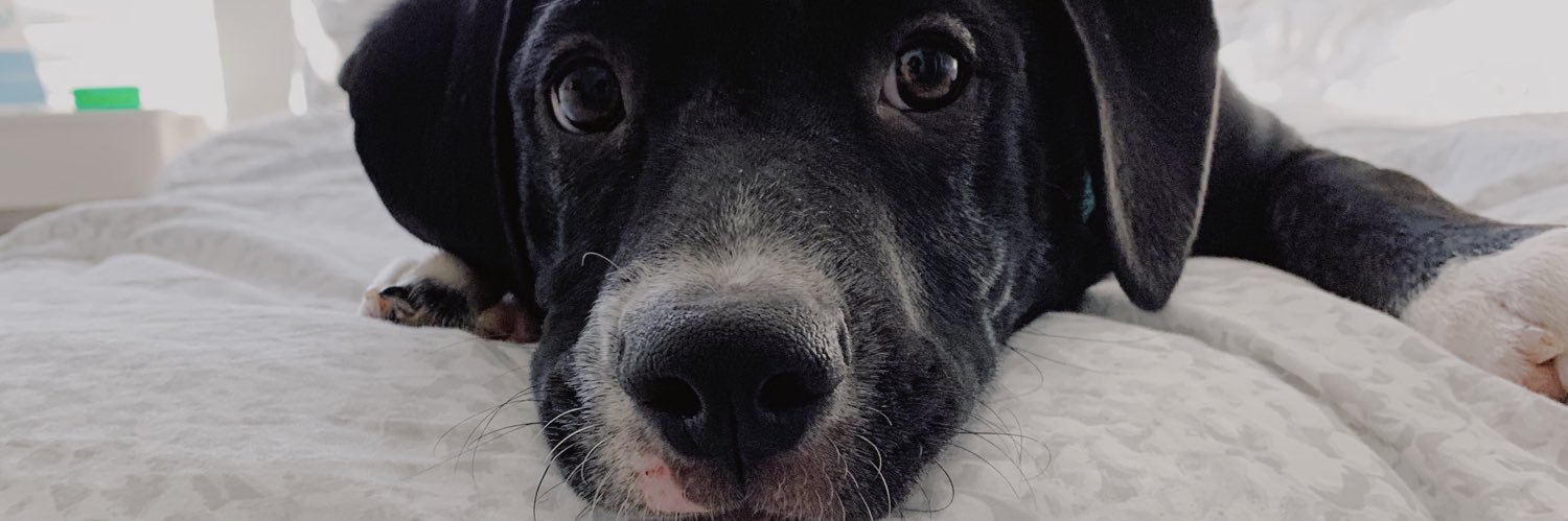 jessfoote_'s profile banner image