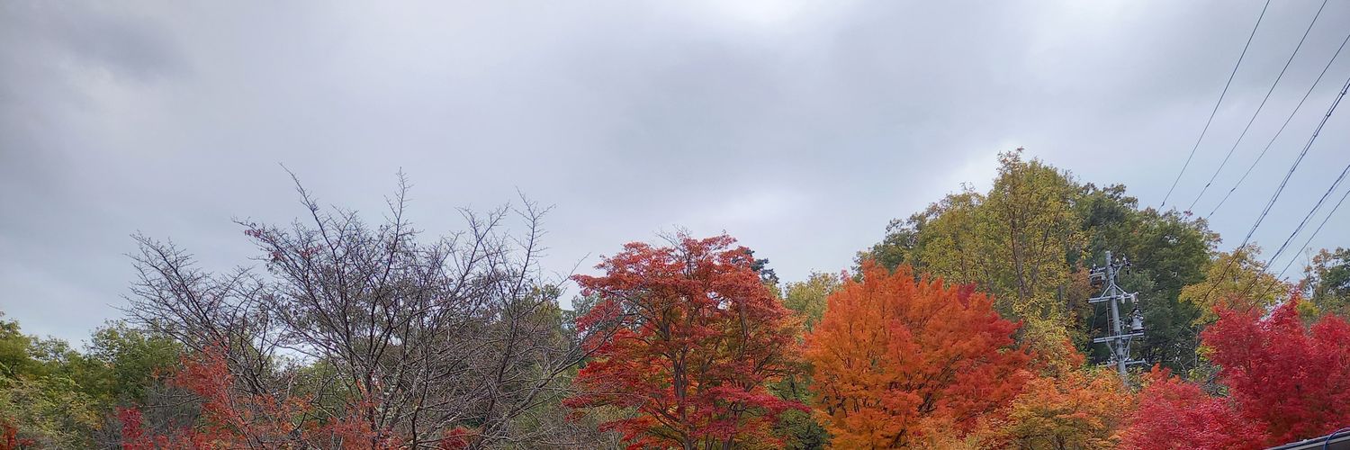ygalaxy691's profile banner image
