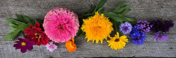 gcuof Profile Banner