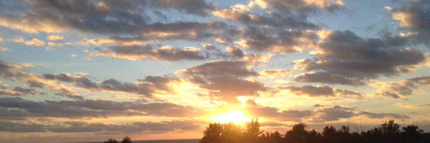 ColLeenM5's profile banner image