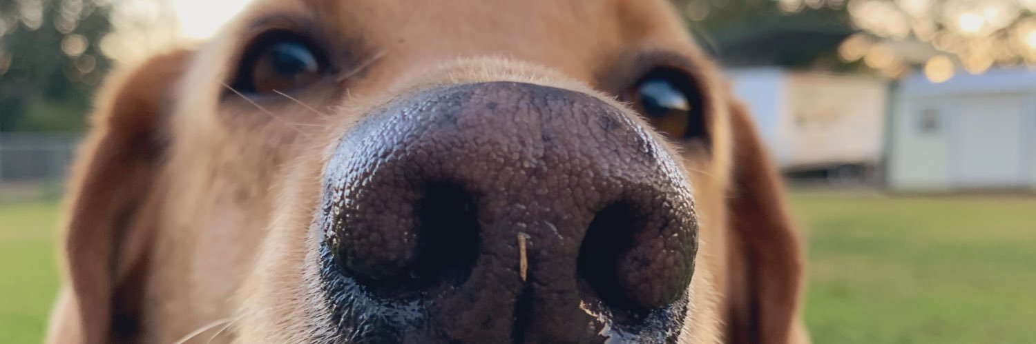 kaleighrtanner's profile banner image
