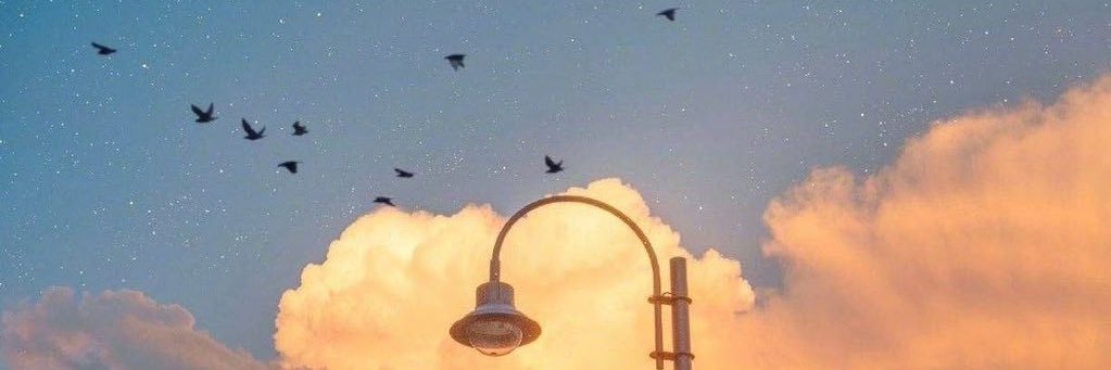 𝒮𝒶𝓎𝒶 banner