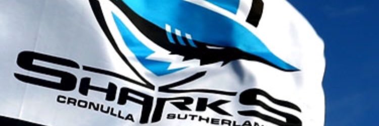 BUZZ ROTHFIELD's banner