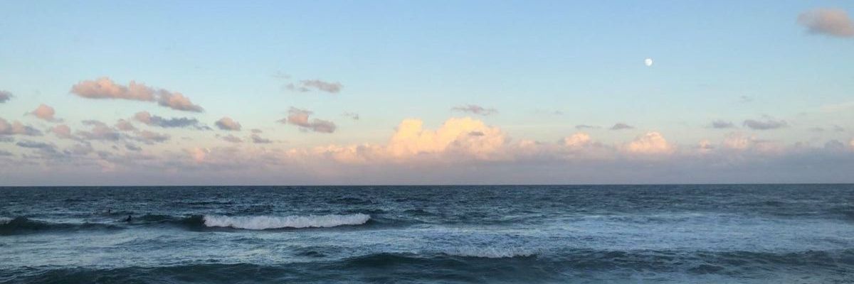 flor_impini's profile banner image