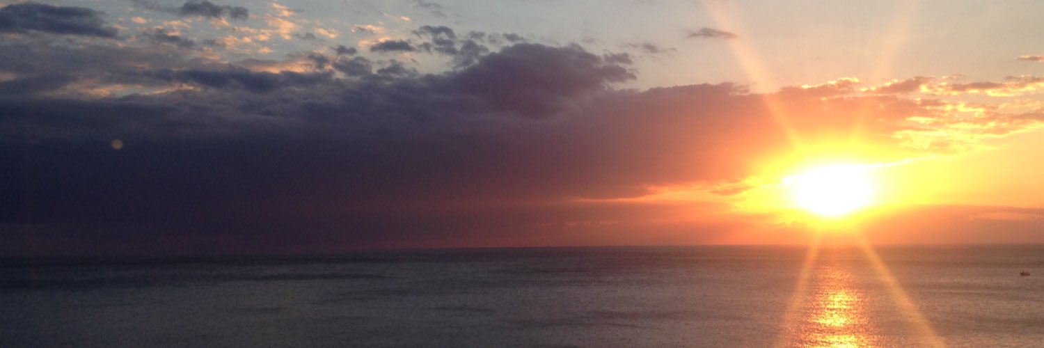 katttermeier's profile banner image