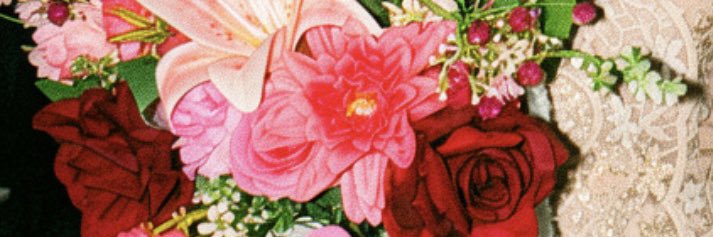 elsariani's profile banner image