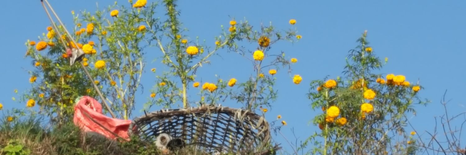 Joperdu's profile banner image