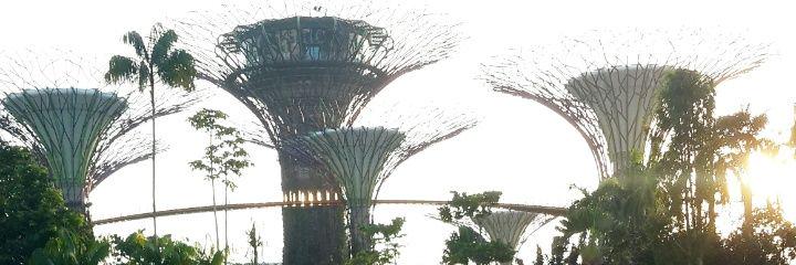 barrr_id's profile banner image