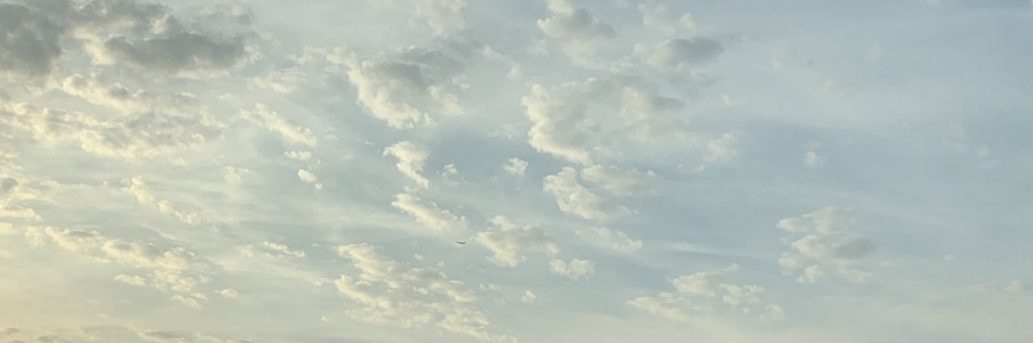 zaina banner