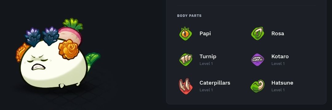 Prasanth | CTG banner