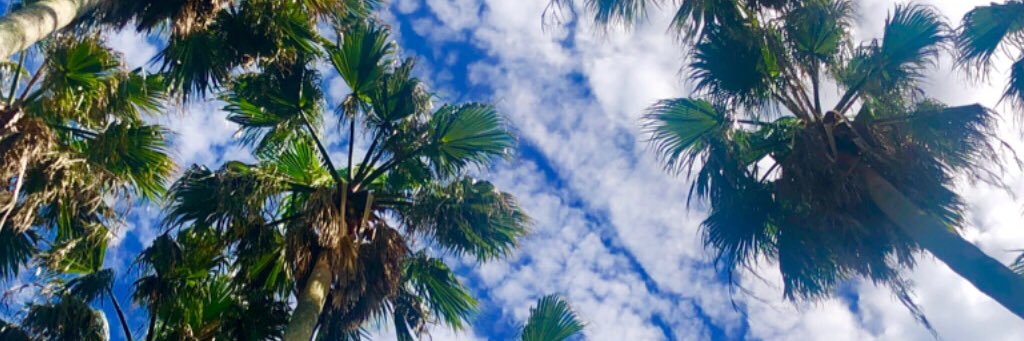AddysHome's profile banner image
