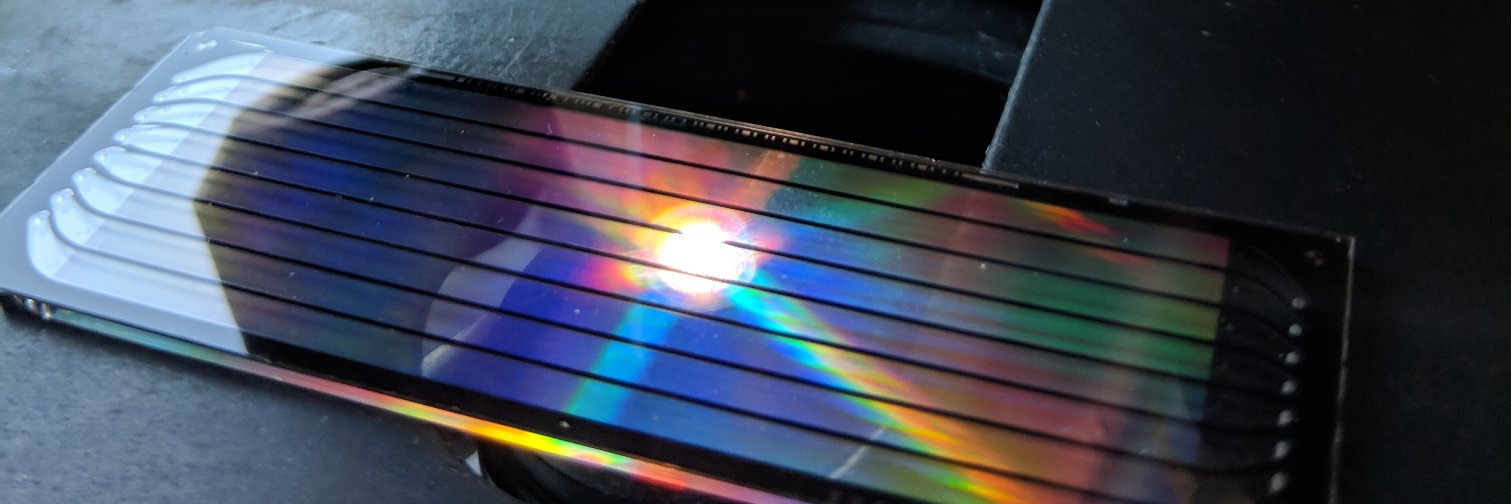 Stephen Yip, MD/PhD FRCPC banner