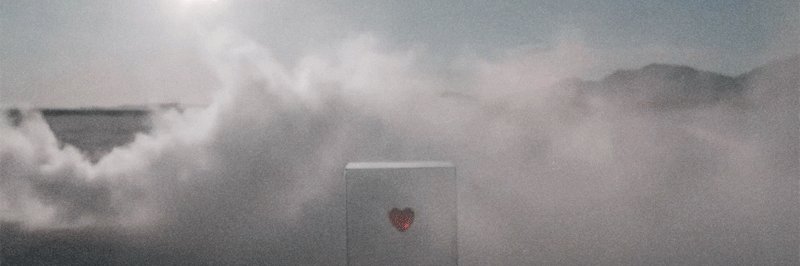 Tammy Carter banner