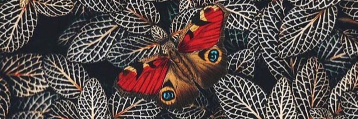 AwbreyB_'s profile banner image