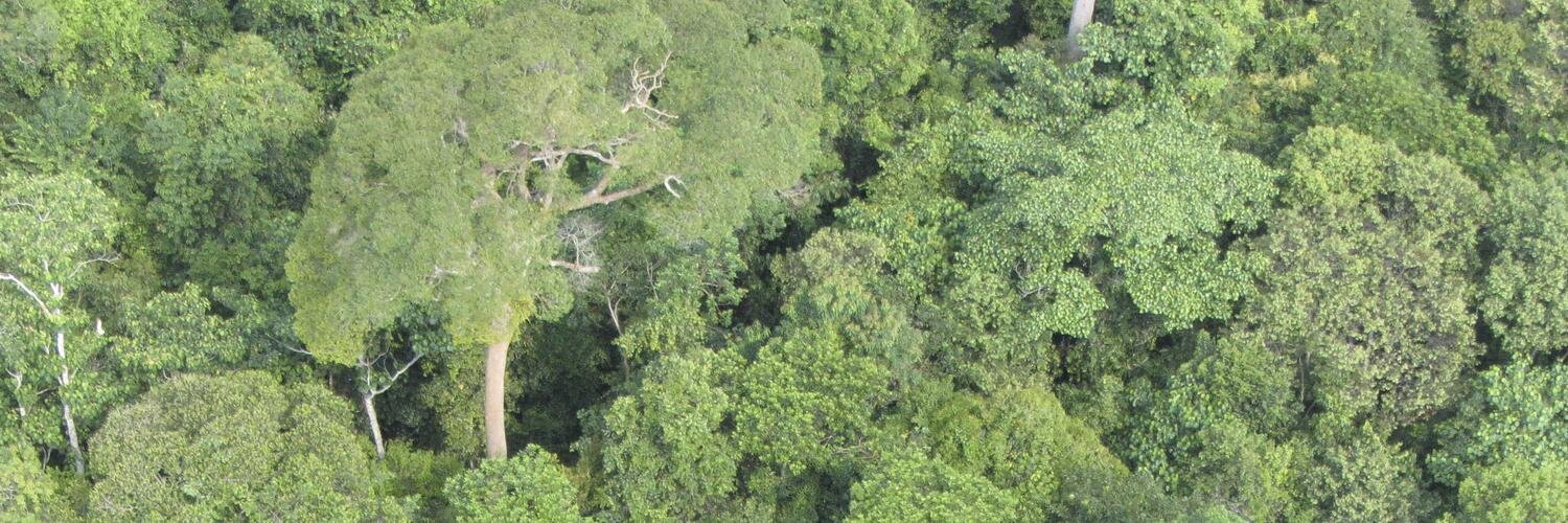 ConservationDrones banner