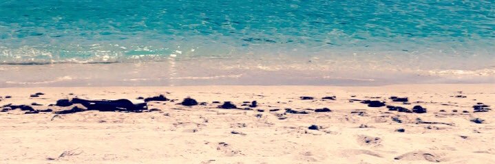lopaige24's profile banner image