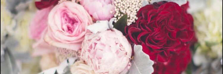 emmakatelyn's profile banner image