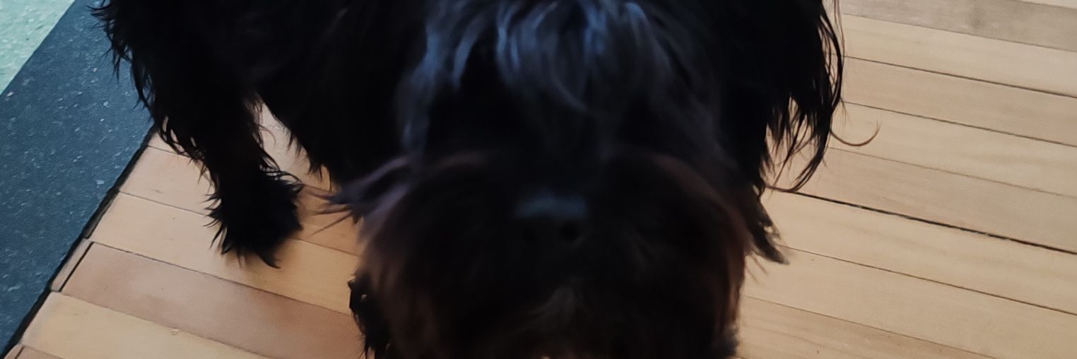 dalma1980's profile banner image