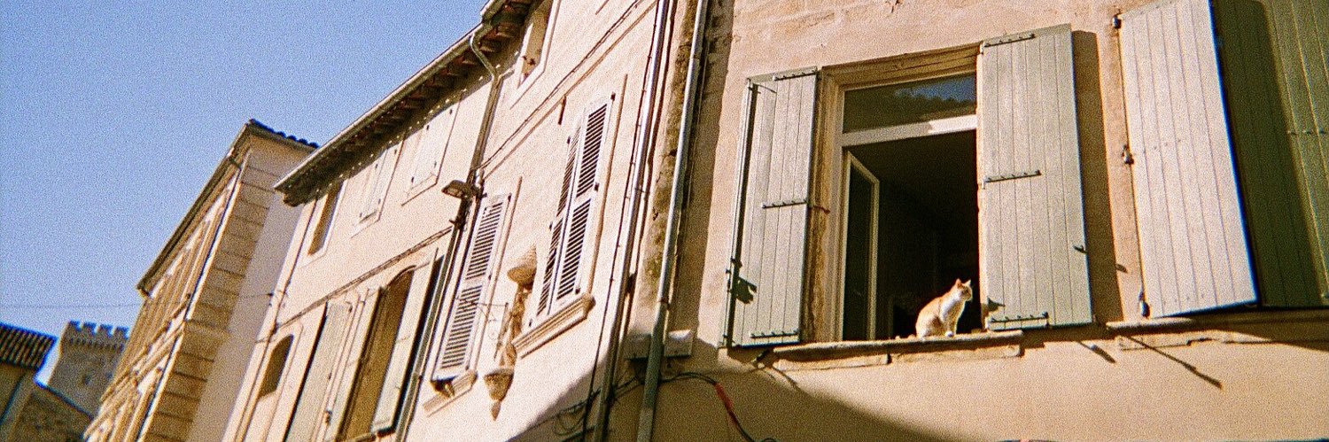yyydlt's profile banner image