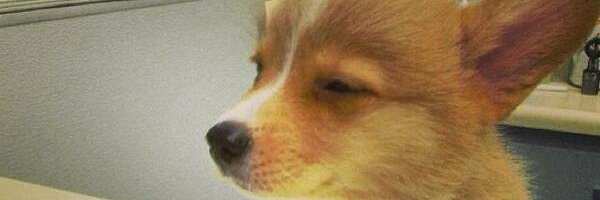 NateT_'s profile banner image